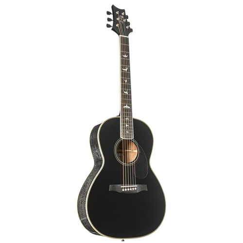 Prs p20e dog hair - p20e,