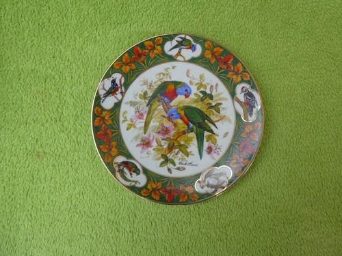 Sammelteller papageien mit - sammelteller,