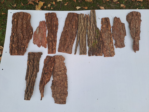 Baumrinde große stücke - ,