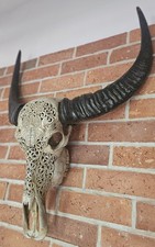 7Ox 40cm Riesen Wasserbüffel Kopf Original Büffel Kuh Skull