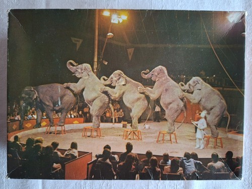Puzzle elefantendressur - elefantendressur,