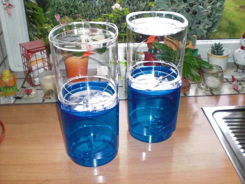 Nescafe dolce gusto cuba blau - nescafe,
