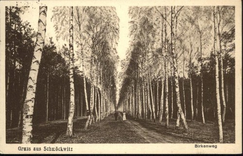 Schmoeckwitz birkenweg - schmoeckwitz,