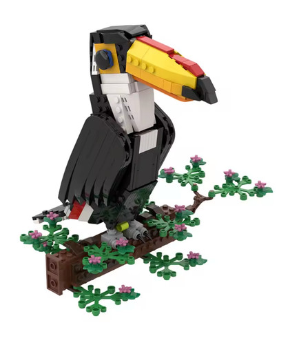 Moc tukan auf - tukan, blumenast