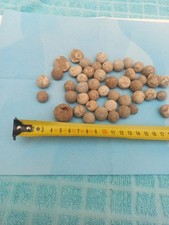 Musketenkugeln alt und original 