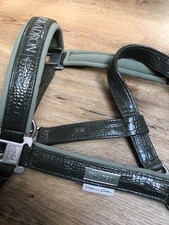 neues Eskadron Platinum