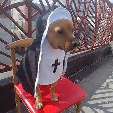 Halloween hundekleidung - halloween,