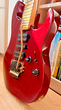 Super E-Gitarre Washburn