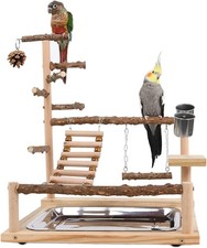 Wellensittich spielplatz - wellensittich,