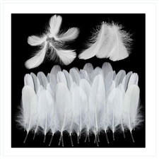 Weiße Federn 300 Stück