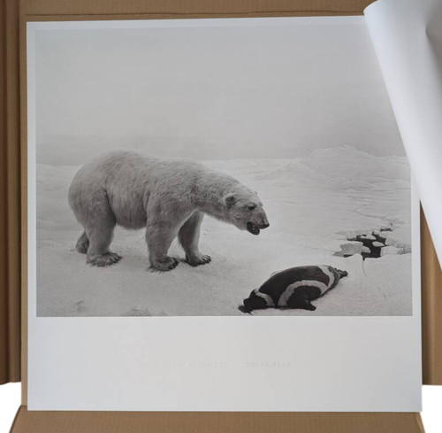 Hiroshi sugimoto eisbär - hiroshi, "