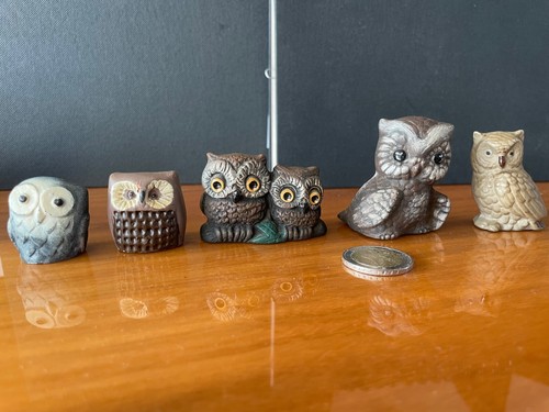 Minatur eulen sammlung - 5,