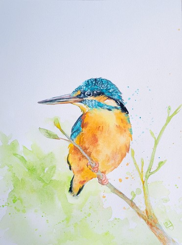 Original eisvogel aquarell - eisvogel,