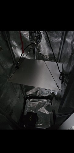 Growbox komplettset led - growbox,