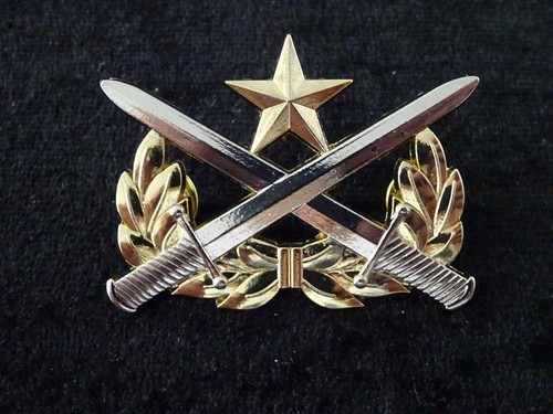 A29 badge ranger - a29-37), us