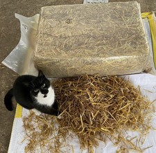 20 Ballen Futterstroh