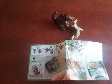 Ü-EI Natoons North Amerika D