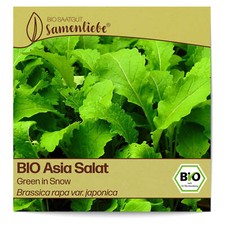 BIO Salat Samen Sorte Green in Snow Gemüsesamen BIO Gemüse Saatgut samenfeste Sa