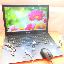 XXL SET Terra 1715 PRO WIE NEU 17 Zoll FULLHD I SSD Windows 11 I DVDRW HDMI USBC