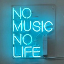 14"x9"No Music No Life Neon