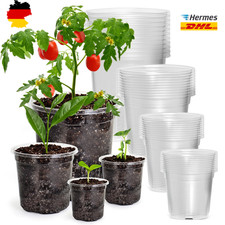 Blumentöpfe Transparent 36er
