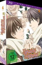 Sekaiichi Hatsukoi - The