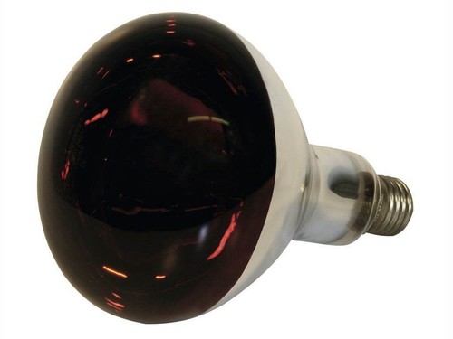 Kerbl infrarotlampe 250 - kerbl,