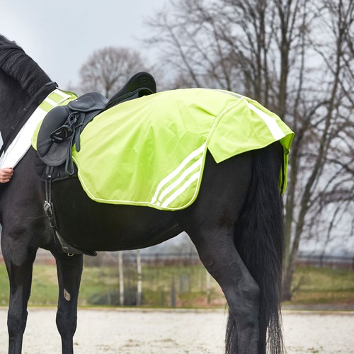 Horse guard reflex - guard,