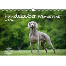 Hundezauber Weimaraner DIN A3 Kalender für 2026 Welpen und Hunde - Seelenzauber