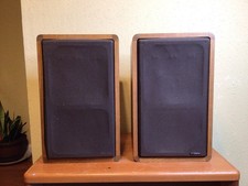 Rare Kirksaeter Monitor 120