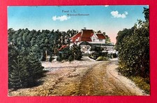 AK FORST Lausitz 1921