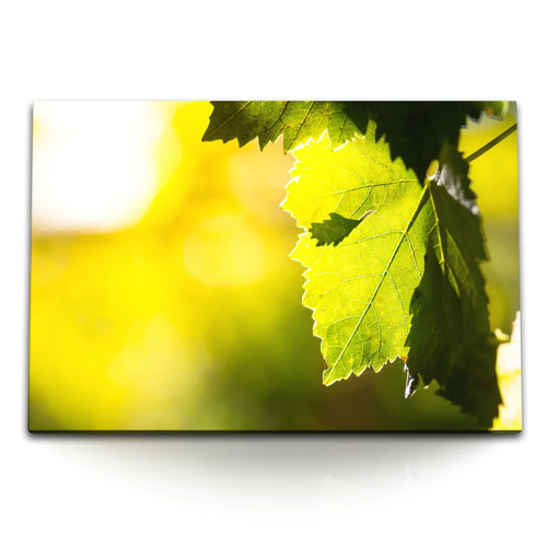 120x80cm wandbild auf - wandbild,