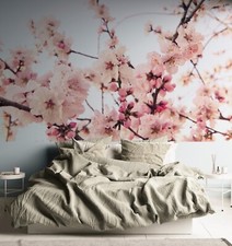 Fototapete Kirschblüten 3,75m