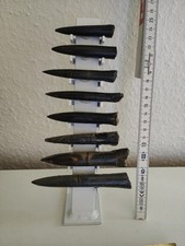 Belemniten Auf Ständer