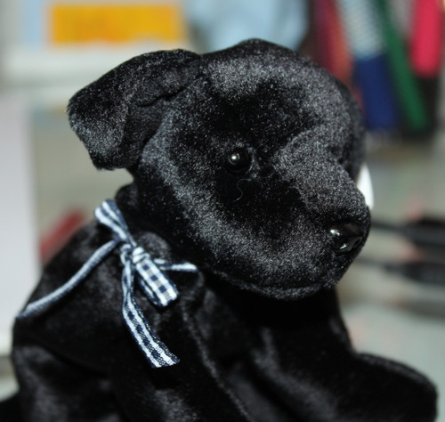 Beanie babies neu - hund, luke
