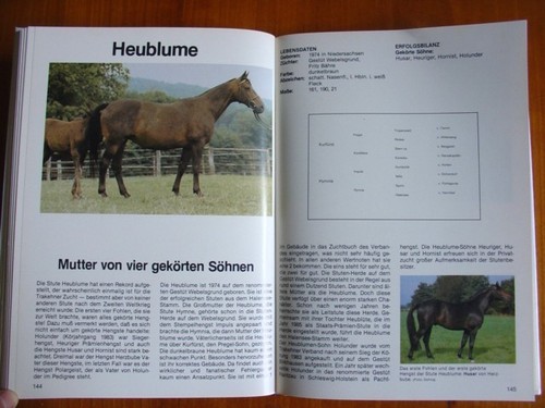 Die berühmtesten trakehner - berühmtesten, *