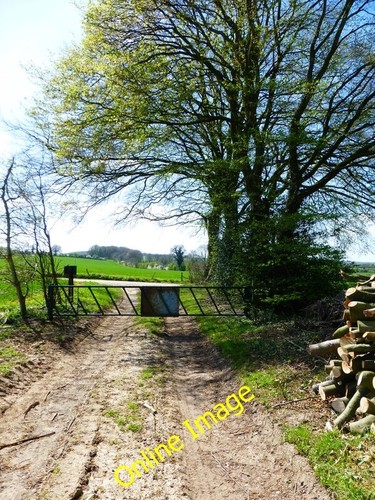 Foto 6x4 bauernhofgleis - 6x4,