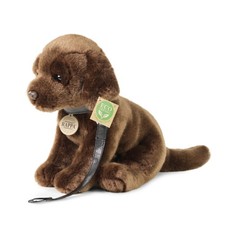 Chocolate labrador braun - chocolate,
