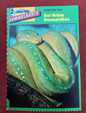 Micky Maus Sammelkarte Gefährliche Tiere Der Grüne Baumpython