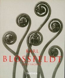 Karl blossfeldt photographs - karl, blossfeldt: