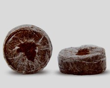 Jiffy 7C Kokos Quelltopf 36mm