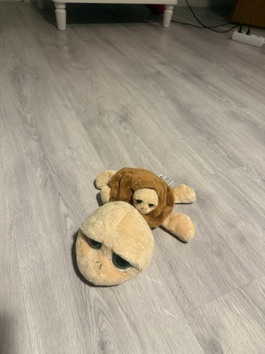 Russ schildkröte mit baby - russ,
