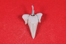 *Anhänger*Haifischzahn*Khouri
