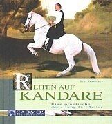Reiten auf kandare eine - reiten,