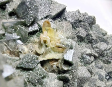 Titanit xx Varietät Sphen mit Adular xx von Dientis Graubünden in der Schweiz