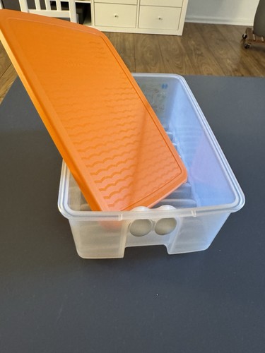 Tupperware orange prima klima - orange,