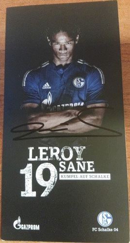 Leroy sané schalke 04 - leroy,