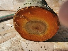 Drechselholz Bastelholz Edelholz Apfel Kirsche Eiche Mirabelle