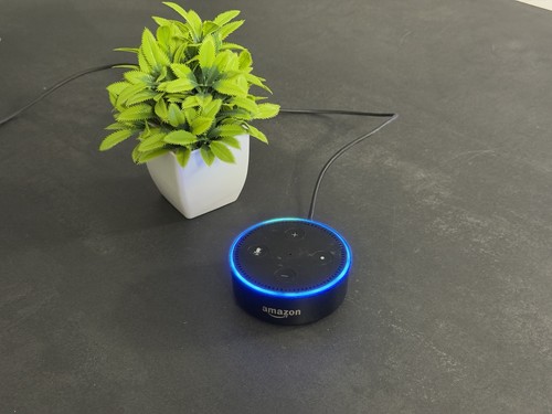 Amazon alexa echo dot - alexa,