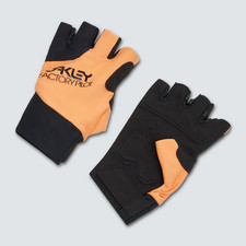 Oakley Factory Pilot